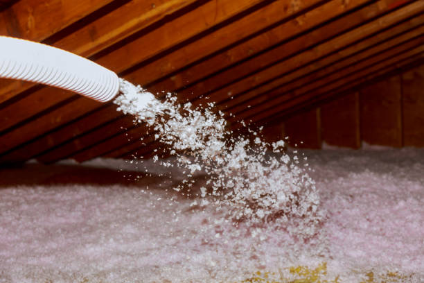 Best Insulation Materials and Products in Port Neches, TX