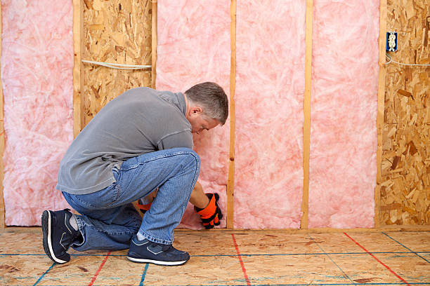 Best Commercial Insulation in Port Neches, TX