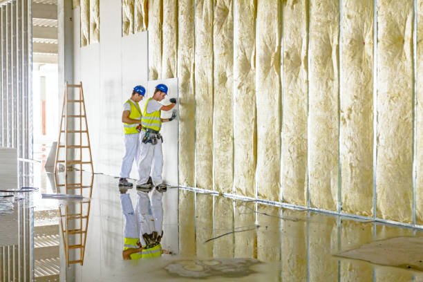 Best Types of Insulation in Port Neches, TX